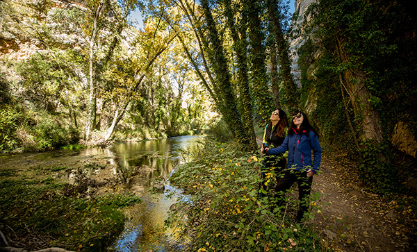 Naturaleza a 10 min del casco histórico